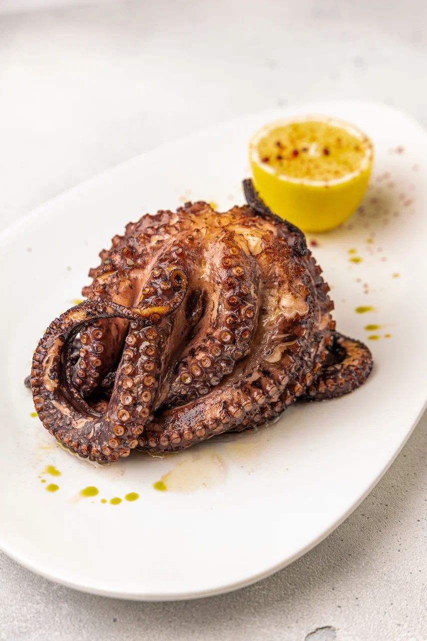 WhatsApp Image 2022-06-14 at 16.29.40